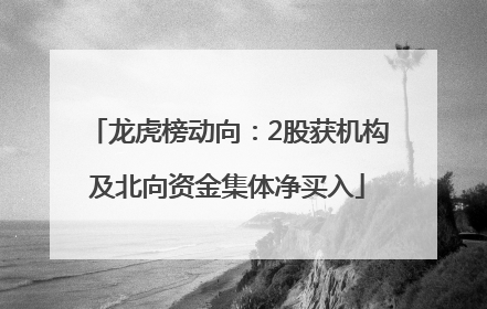 龙虎榜动向：2股获机构及北向资金集体净买入