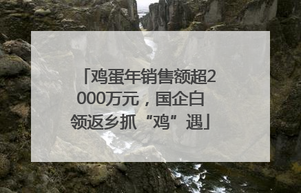 鸡蛋年销售额超2000万元，国企白领返乡抓“鸡”遇