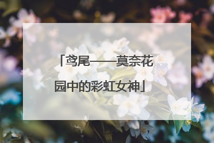 鸢尾——莫奈花园中的彩虹女神