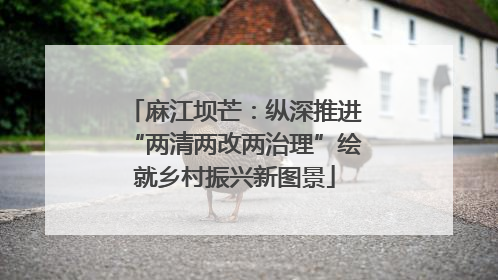 麻江坝芒：纵深推进“两清两改两治理”绘就乡村振兴新图景