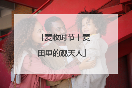 麦收时节丨麦田里的观天人