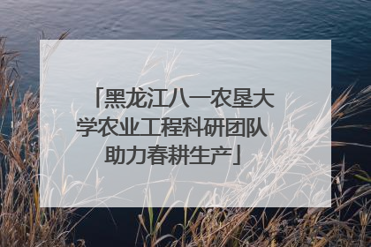 黑龙江八一农垦大学农业工程科研团队助力春耕生产