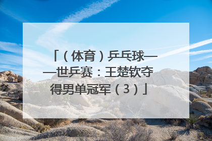 （体育）乒乓球——世乒赛：王楚钦夺得男单冠军（3）