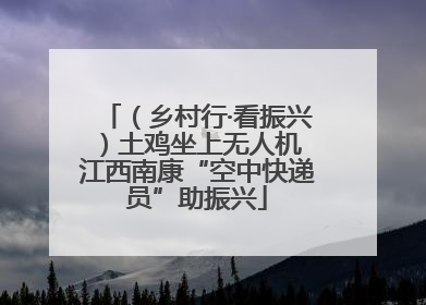 （乡村行·看振兴）土鸡坐上无人机 江西南康“空中快递员”助振兴