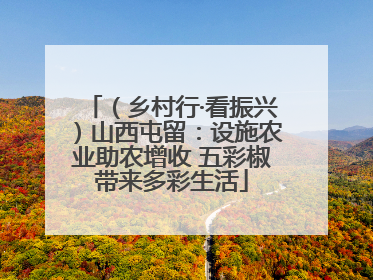 （乡村行·看振兴）山西屯留：设施农业助农增收 五彩椒带来多彩生活
