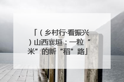 （乡村行·看振兴）山西襄垣：一粒“米”的新“稻”路