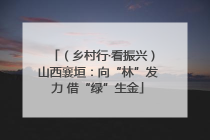 （乡村行·看振兴）山西襄垣：向“林”发力 借“绿”生金