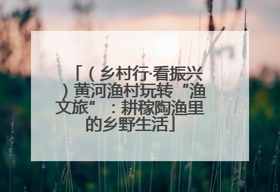 （乡村行·看振兴）黄河渔村玩转“渔文旅”：耕稼陶渔里的乡野生活
