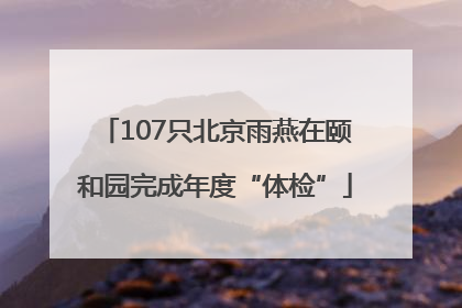 107只北京雨燕在颐和园完成年度“体检”