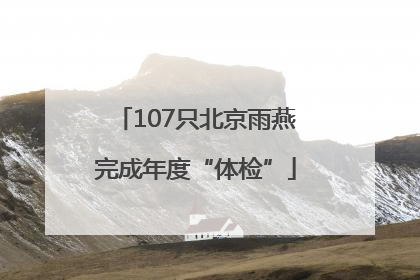 107只北京雨燕完成年度“体检”