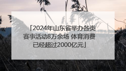 2024年山东省举办各类赛事活动8万余场 体育消费已经超过2000亿元