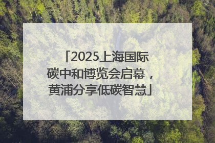 2025上海国际碳中和博览会启幕,黄浦分享低碳智慧