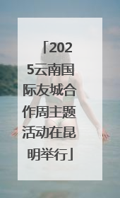 2025云南国际友城合作周主题活动在昆明举行