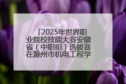 2025年世界职业院校技能大赛安徽省（中职组）选拔赛在滁州市机电工程学校赛点落下帷幕