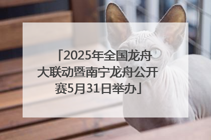 2025年全国龙舟大联动暨南宁龙舟公开赛5月31日举办