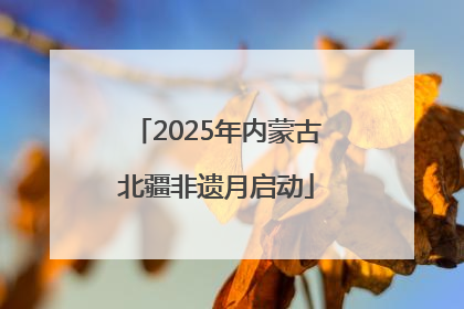 2025年内蒙古北疆非遗月启动