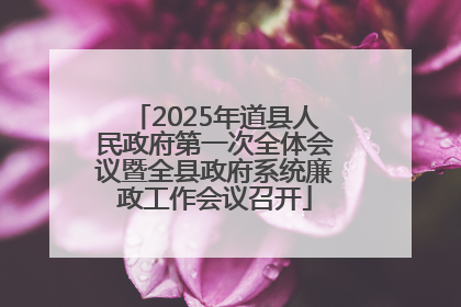 2025年道县人民政府第一次全体会议暨全县政府系统廉政工作会议召开