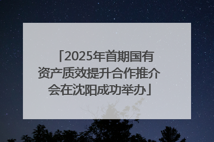 2025年首期国有资产质效提升合作推介会在沈阳成功举办