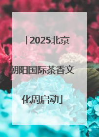 2025北京朝阳国际茶香文化周启动