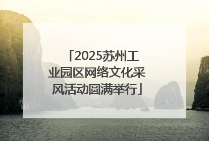 2025苏州工业园区网络文化采风活动圆满举行