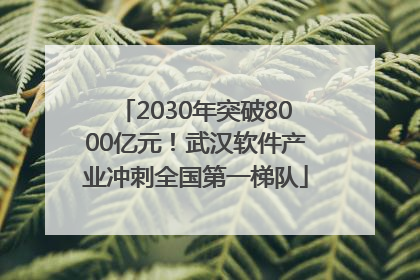 2030年突破8000亿元！武汉软件产业冲刺全国第一梯队