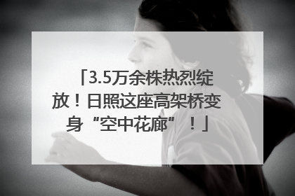 3.5万余株热烈绽放！日照这座高架桥变身“空中花廊”！