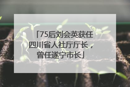 75后刘会英获任四川省人社厅厅长，曾任遂宁市长