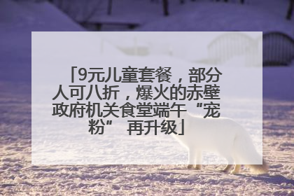 9元儿童套餐，部分人可八折，爆火的赤壁政府机关食堂端午“宠粉” 再升级