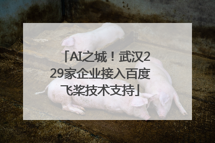 AI之城！武汉229家企业接入百度飞桨技术支持
