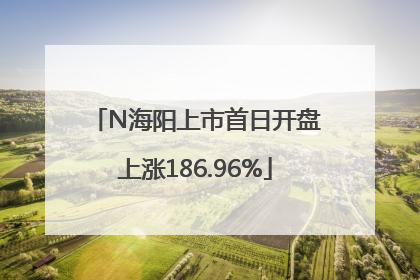 N海阳上市首日开盘上涨186.96%