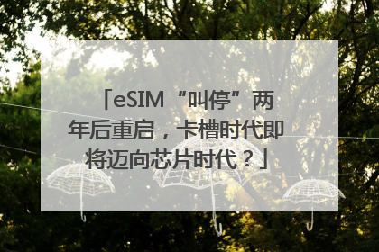 eSIM“叫停”两年后重启，卡槽时代即将迈向芯片时代？